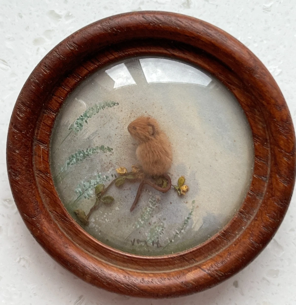 Harvest Mouse (Version 7)